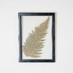 Handmade Pressed Flower Wall Art  Botanical Hanging Dcor for Home