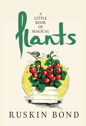 Aittle Book of Magical Plants Aittle Book of Magical Plants