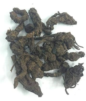 Nutrixia Food Tagar Ganth-Mushkbala-Sugandhabala-Valerian Root-Valeriana Wallich 100 gm