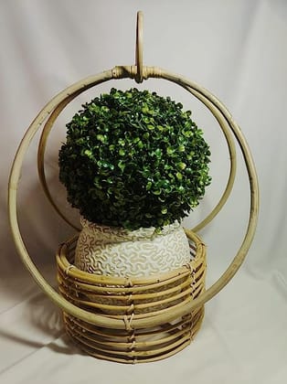 Dastkar Crafts Hanging Circular Cane Planter | Ring Shaped Handcrafted Cane & Bamboo Hanging Basket Plant Holder Plant Stand.