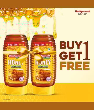 Baidyanath Squeeze Honey 400gm (Pack of 2)