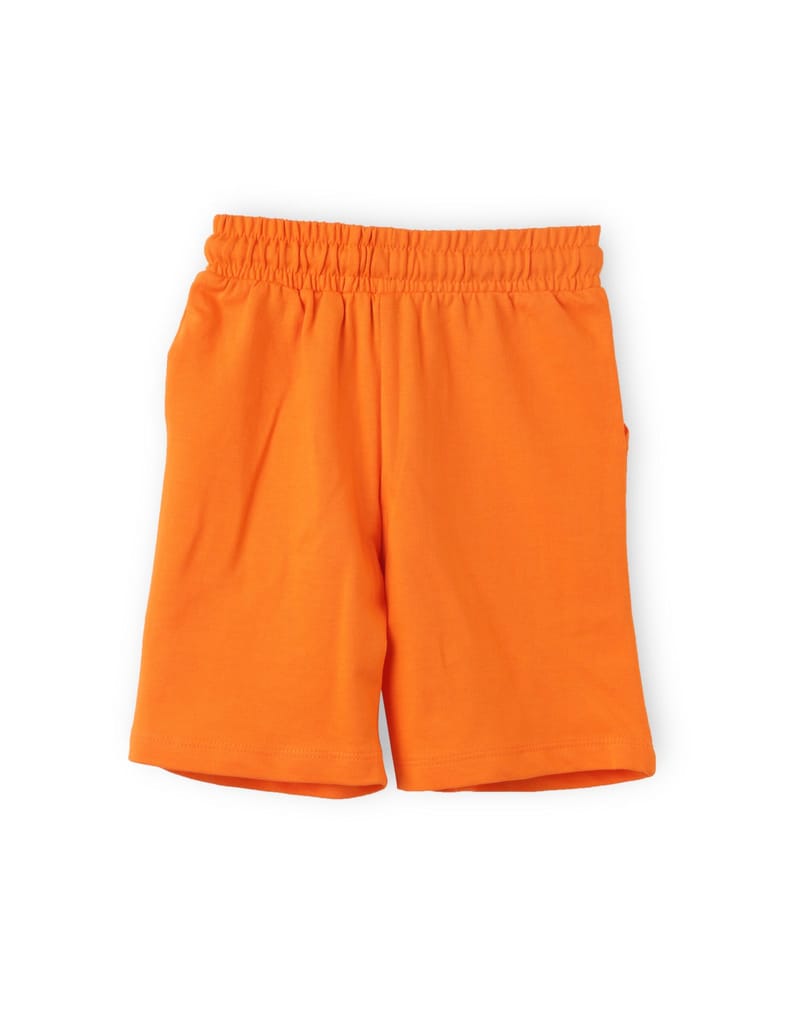 Luxurious Kids Boys Shorts Cotton French Terry Scarlet Ibis Orange Cool Shark 2025 at ShopCircui