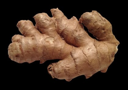 Ginger