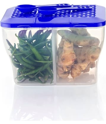 FIT4CHEF Fridge Container PET Blue Multi-Purpose Container ( Set of 1 )