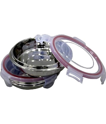 Dynore Pink Tiffin Stainless Steel Lunch Box 2 - Container ( Pack of 2 )