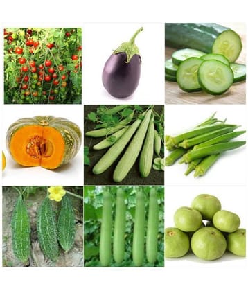 special combo ( 10 vegetables) seeds for kitchen and terrace summer and all season vegetables
