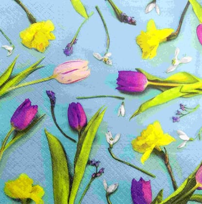 Decoupage Napkin / Tissue papers - DGT1897