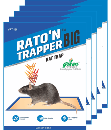 Green Revolution Rat Trap Big Pack of 5