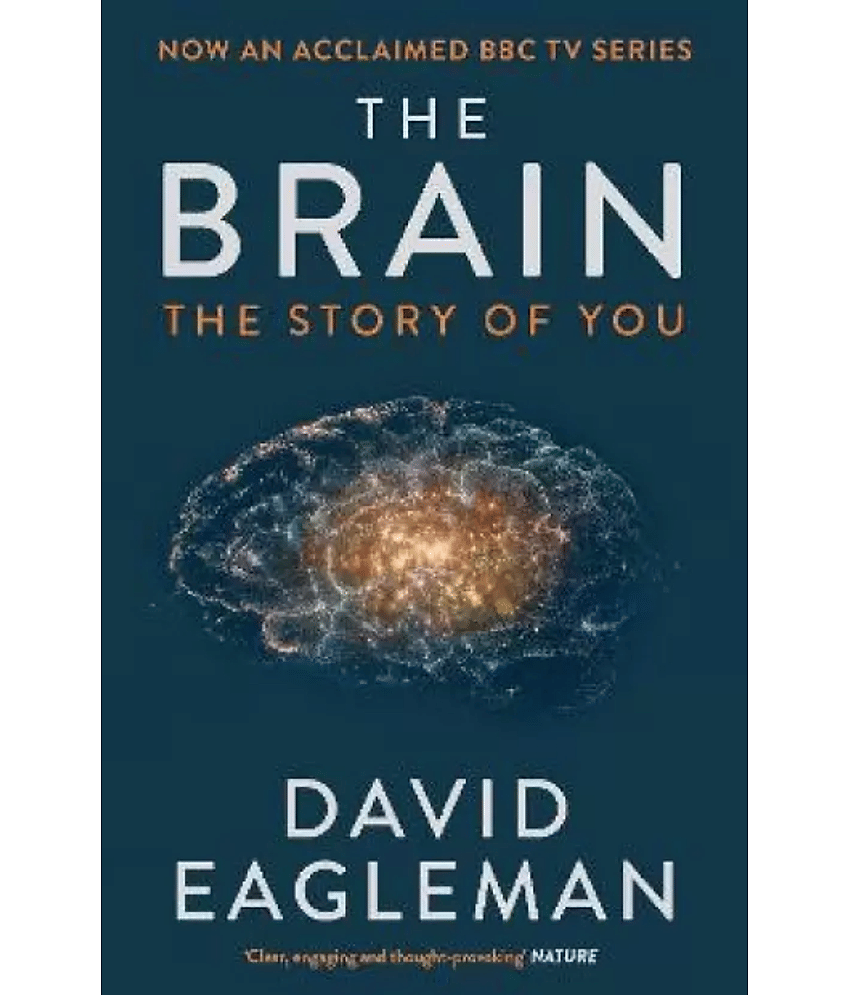 The Brain - The Story of You  (English, Paperback, Eagleman David)