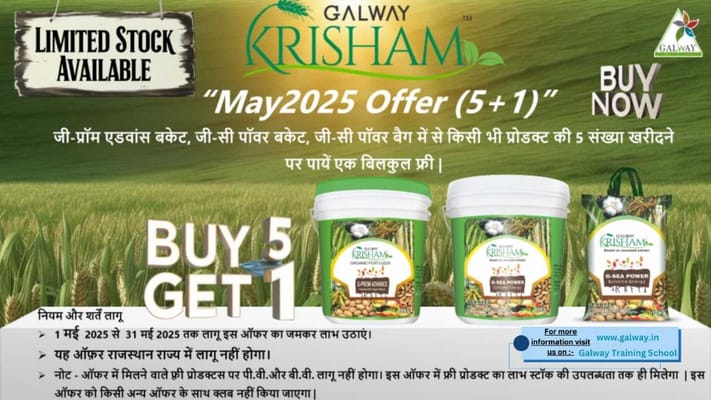 Maa Pattakhanda Veriety Palace