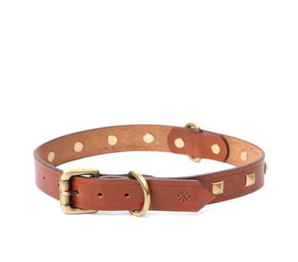 BIG DOG COLLAR SQ. STUD-Tan / Small