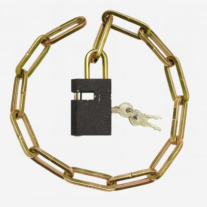 Anti-Theft Security Chain (2 Feet) with Attached Padlock & 3 Keys | Alloy Steel Chain Lock for Gate, Door, Luggage, Cycle, Bike & Motorcycle | Gold-Tone Metal Safety Chain
