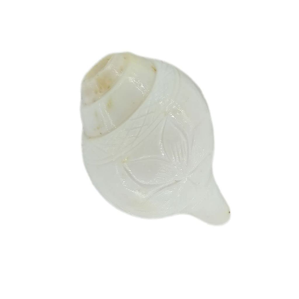 MAYAPURI Blowing Shankh/Puja Shankha or White Conch Shell (3.5/4 inches) - Pooja Needs | Buy online on ZillyBuy