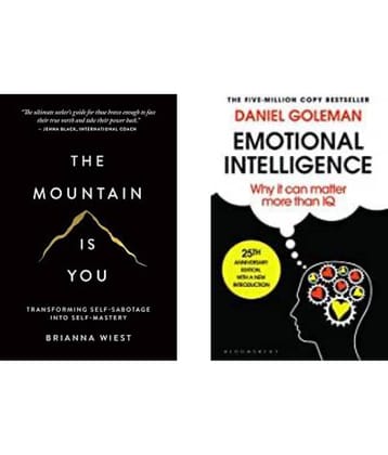 The Mountain Is You + Emotional Intelligence: Why It Can Matter More Than IQ