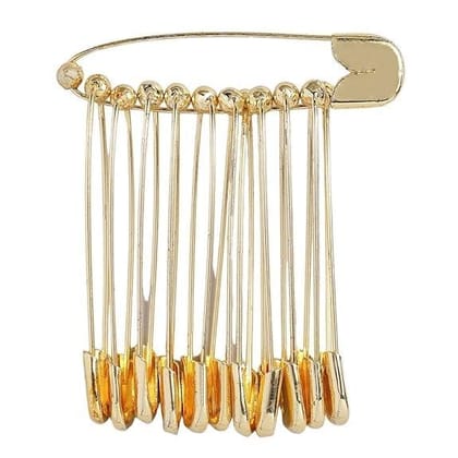 Women Set of 12 Saree Pins