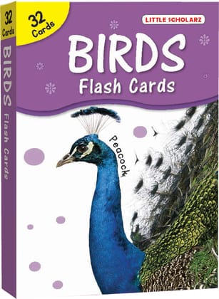 Big Flash Cards Birds [Paperback] [May 09, 2024] LS Editorial Team