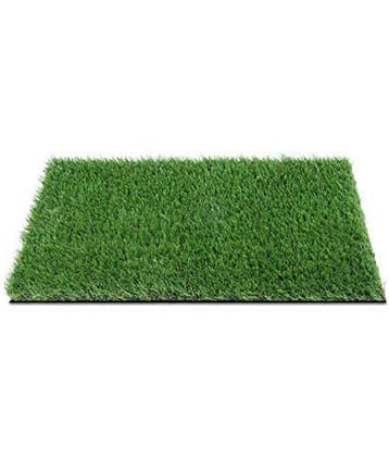 PINDIA Green Polypropylene Carpet Others 2x3 Ft