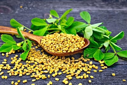 Desi Utthana Organics Fenugreek (Menthya) 100GMS