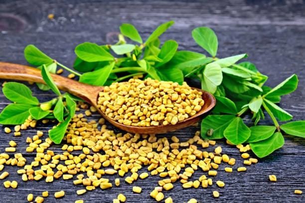 Desi Utthana Organics Fenugreek (Menthya) 100GMS