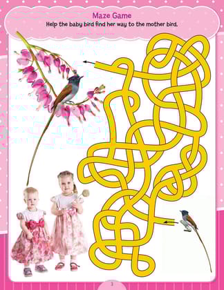 01. Pink Activity Book [Paperback] Dreamland Publications