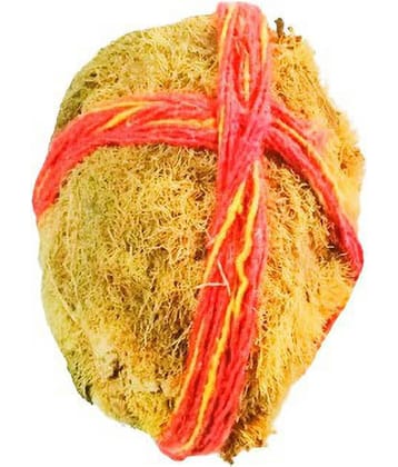 Shri Astha Vinayak Ekakshi Nariyal 1 ( Pack of 1 )