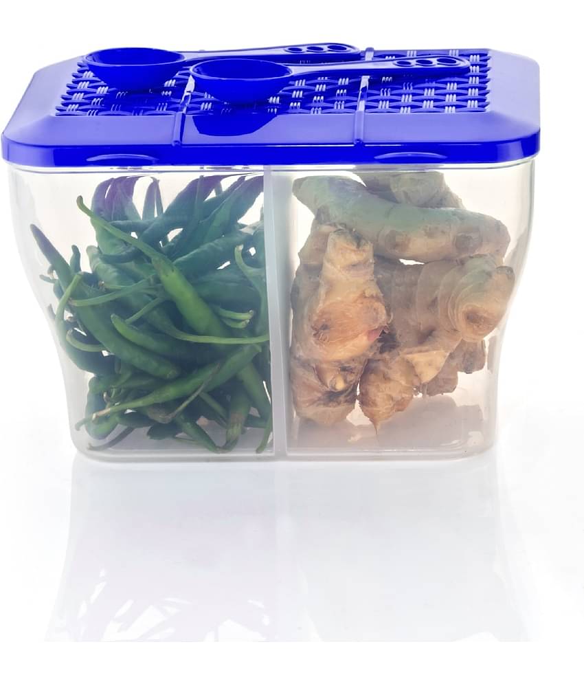 MAGICSPOON Fridge Container Plastic Blue Multi-Purpose Container ( Set of 1 )