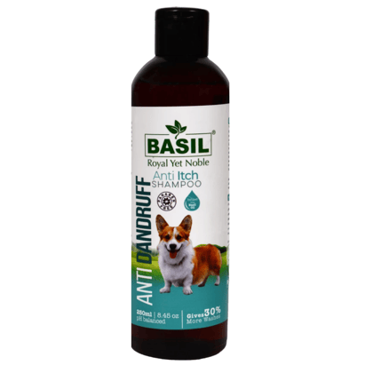 Basil Anti Dandruff & Anti Itch Shampoo for Dogs and Cats Basil Anti Dandruff & Anti Itch Shampoo for Dogs and Cats - 250mL