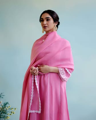 Blush Pink Dupatta-Free Size / Blush Pink