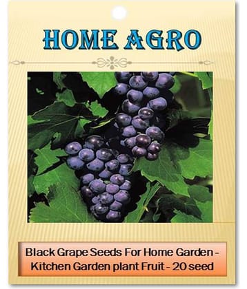 homeagro - Fruit Seeds ( 20 seeds )