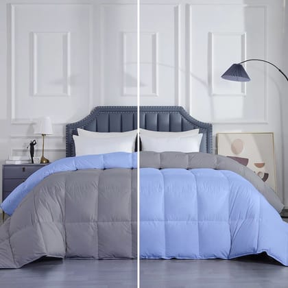 Razzai Down Alternative Soft Quilted 300 GSM All Weather Comforter |Silver/Sky Blue-Single / Sky Blue