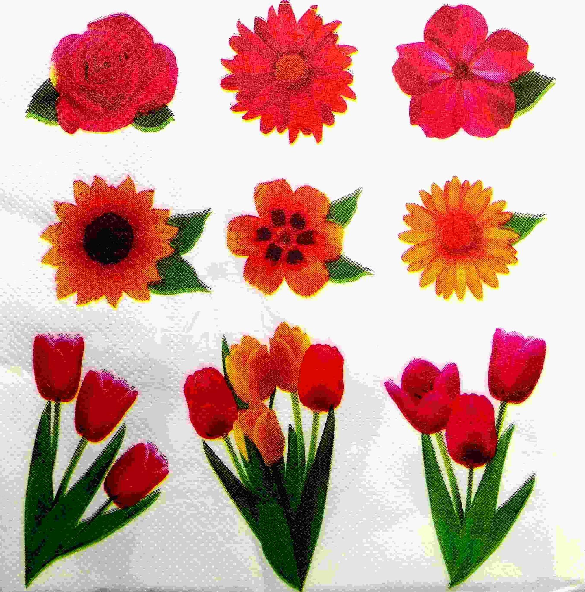 Decoupage Napkin / Tissue papers - LGT1864