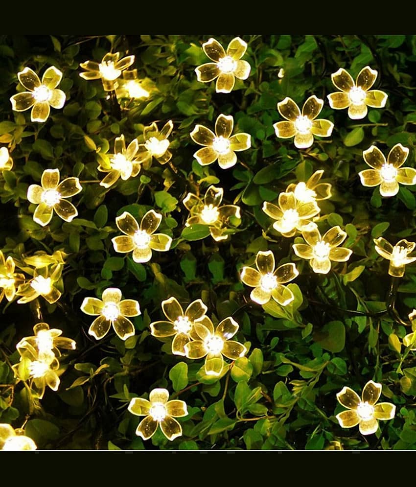 SPARKWORLD Gold 3M String Light ( Pack of 1 )