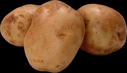 POTATO