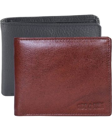 Hide&Sleek - Multicolor Leather Men's Regular Wallet ( Pack of 2 )