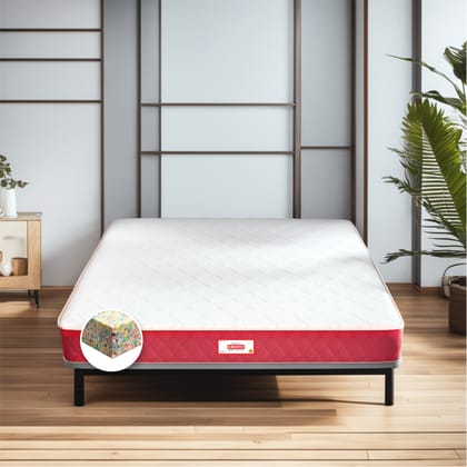 COIRFIT BONE ZONE with REBOTECH Tech. 5 inch Single Bonded Foam Mattress (L x W: 75 inch x 60 inch)