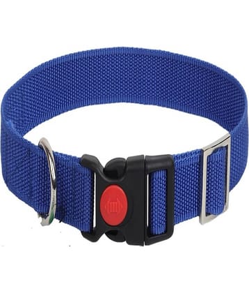 GNS PETS - Fluorescent Orange Collar ( Medium )
