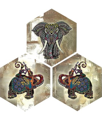 Indianara Hexagon Paintings MDF Painting Without Frame