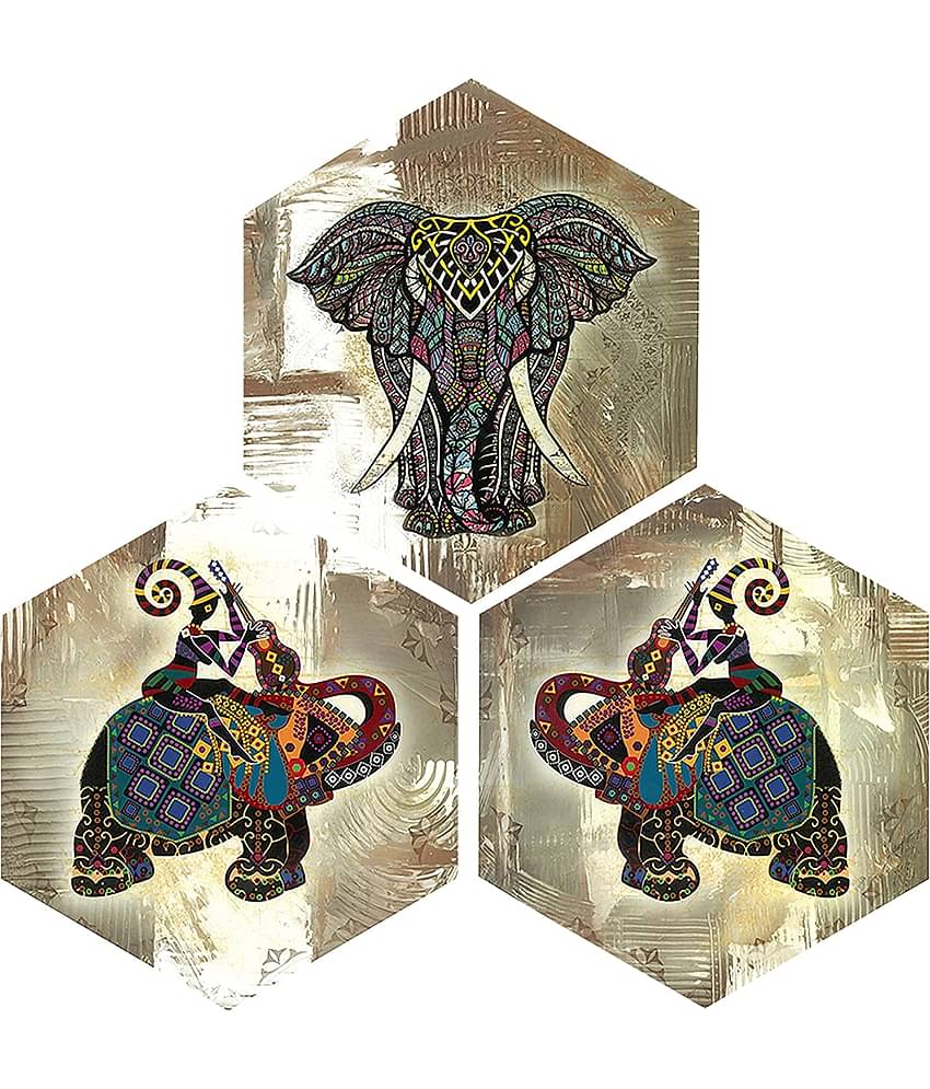 Indianara Hexagon Paintings MDF Painting Without Frame