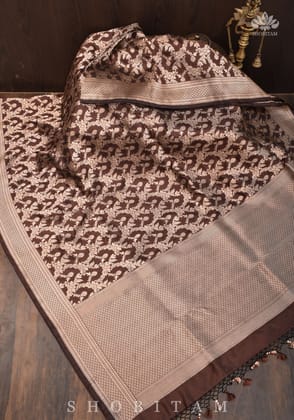 Exquisite Pure Katan Silk Banarasi Saree with Jaal Weave in Brown  | SILK MARK CERTIFIED