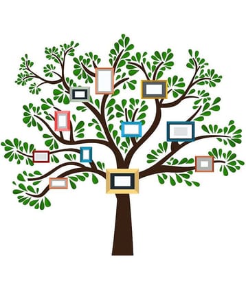 Wallzone Big Photo Tree Sticker ( 120 x 100 cms )