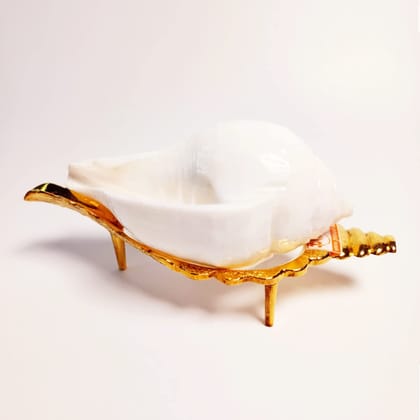 MAYAPURI Jal Shankha with Stand for Pooja, White Puja Conch Shells with Holding Stand