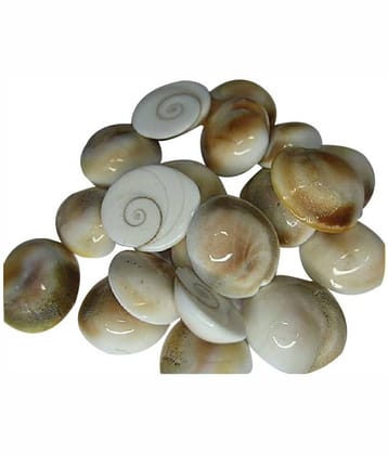 SwadesiBuyzzar - Marble Kowdi (Pack of 10)