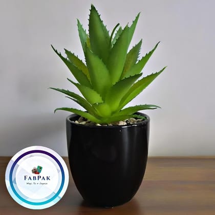 FABPAK Artificial Plant with Green Leaf for Home Decor
