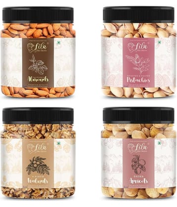 LILA DRY FRUITS Mixed Dried Fruits Combo Pack 100 grams x 4 Almond Walnut Pistachio Apricot Premium Healthy Snack for Daily Use Perfect for Giftings