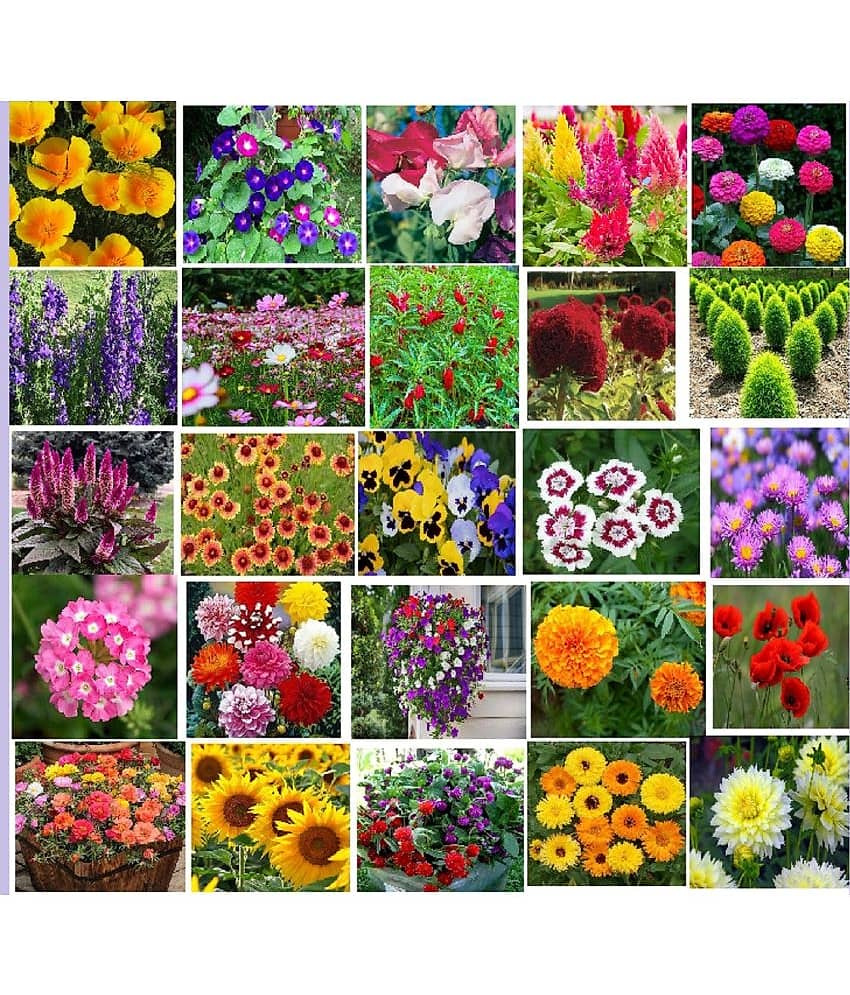 25 variety Flower seeds combo pack with instruction manual.