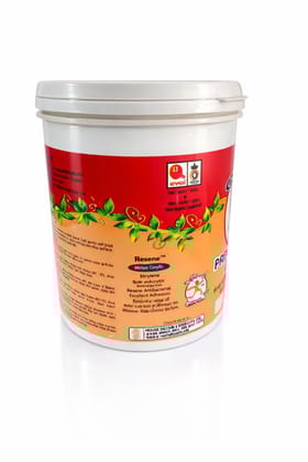 1001 Premium Acrylic Emulsion WT I water-based paint specifically designed for interior and exterior surfaces. I Plastic Paint I Wall Paint 1 ltr
