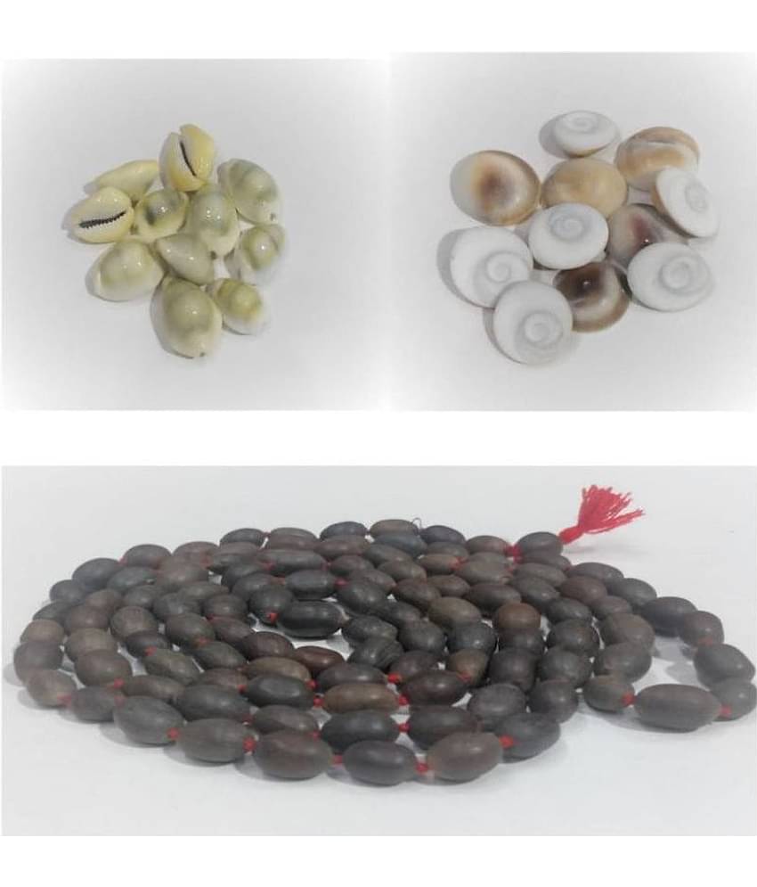 Kamal Gatta Pooja Mala with Gomati Chakra and Kauri (Pack of 3)