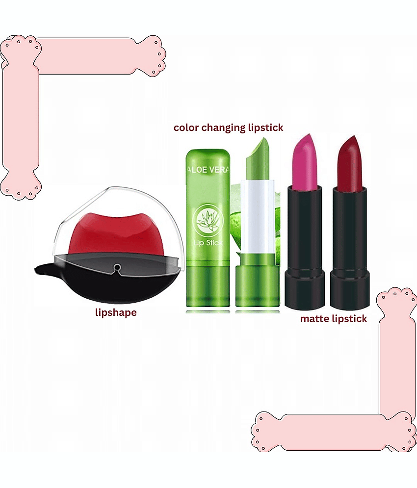 Swenky Multi Matte Lipstick 300