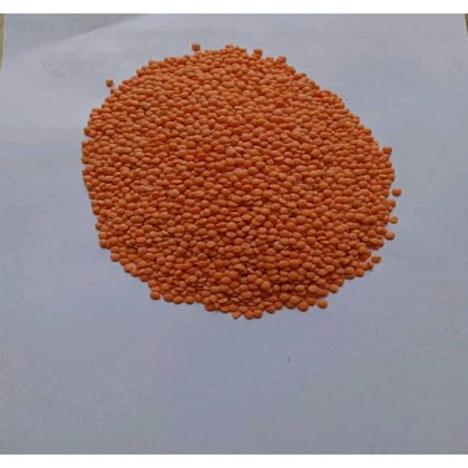 Red Lentil - 1 kg