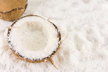 Coconut Powder 250 GRAM